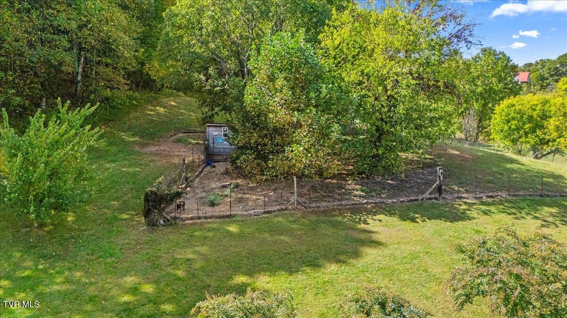 Photo #11: 3822 Highway 81 