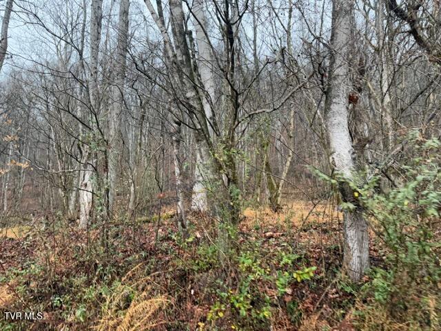 Photo #3: Tbd Fork River Road