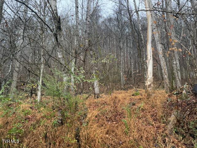 Photo #4: Tbd Fork River Road