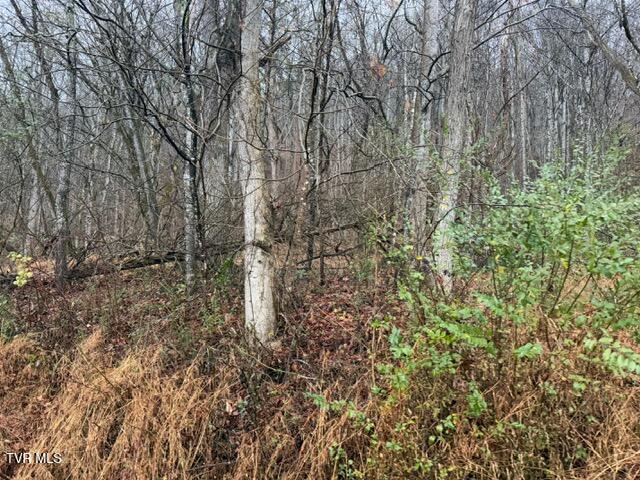 Photo #5: Tbd Fork River Road