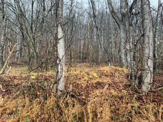 Photo #6: Tbd Fork River Road