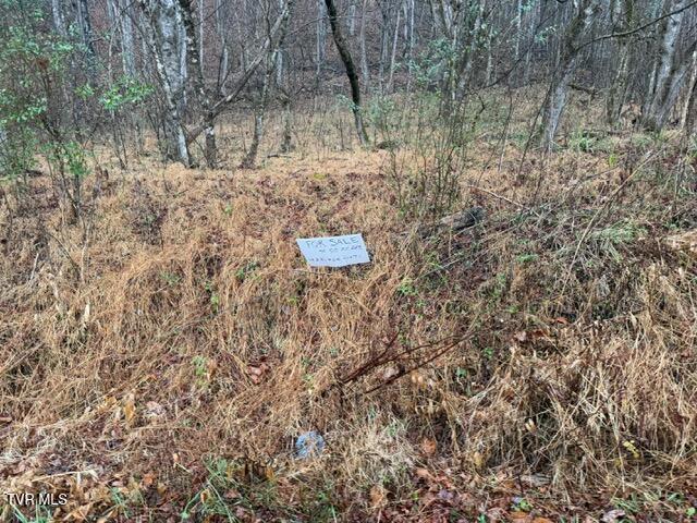 Photo #7: Tbd Fork River Road