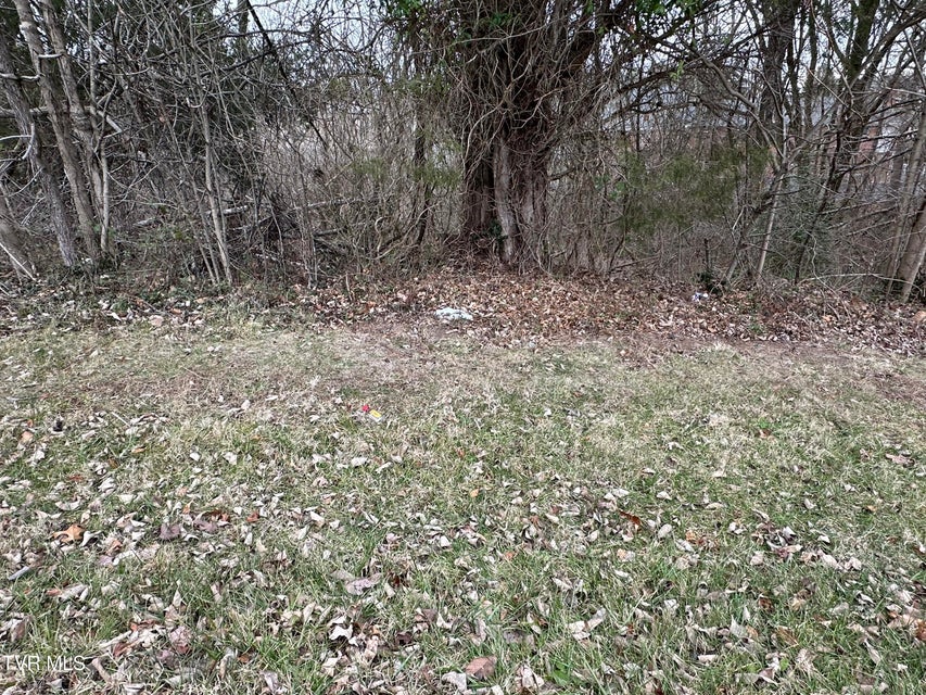 Photo #2: Tbd Lowrance Drive