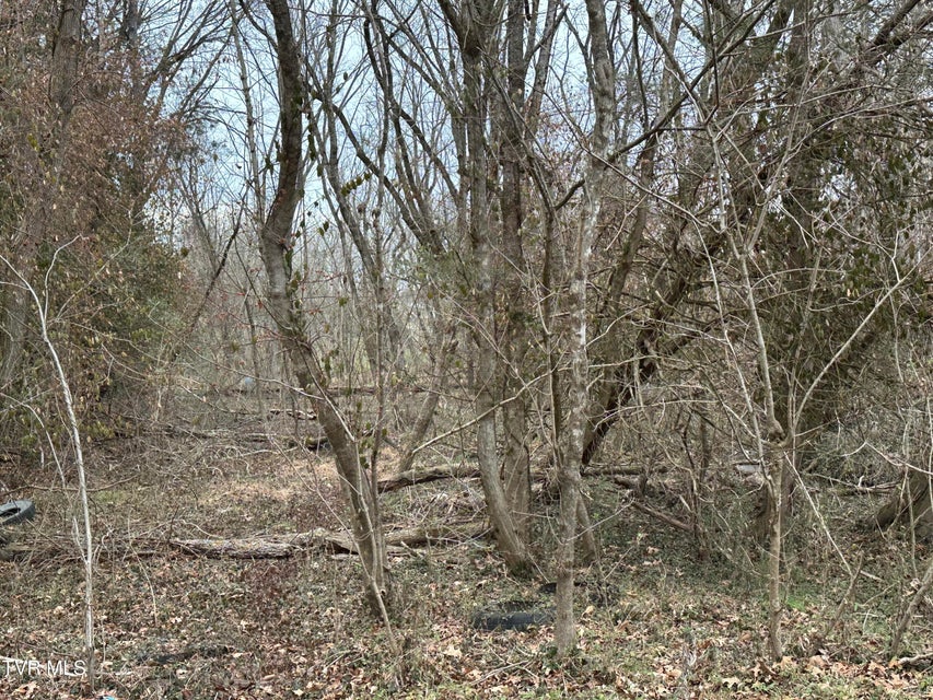 Photo #9: Tbd Lowrance Drive