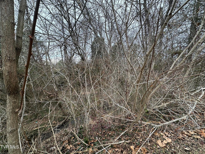 Photo #4: Tbd Lowrance Drive