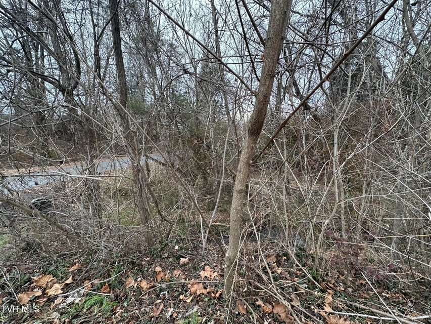 Photo #5: Tbd Lowrance Drive