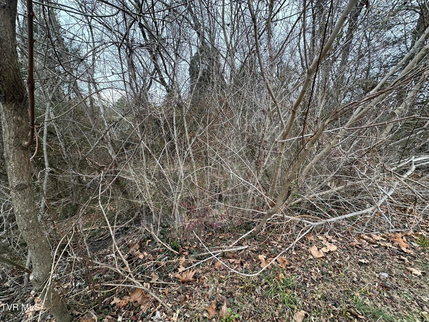 Photo #6: Tbd Lowrance Drive