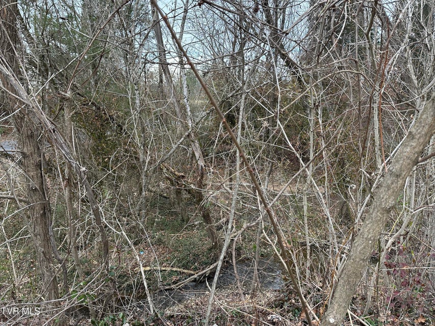 Photo #7: Tbd Lowrance Drive