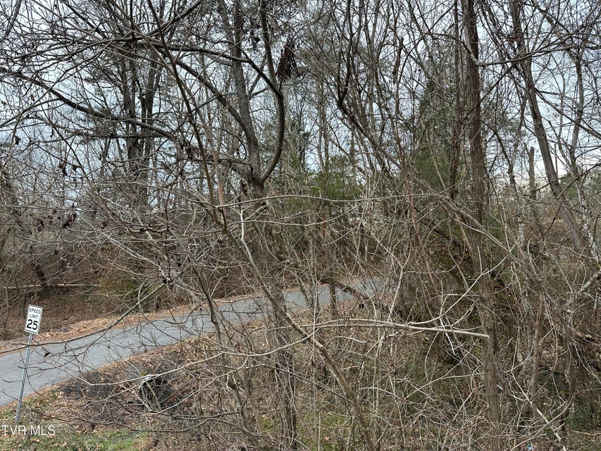 Photo #8: Tbd Lowrance Drive