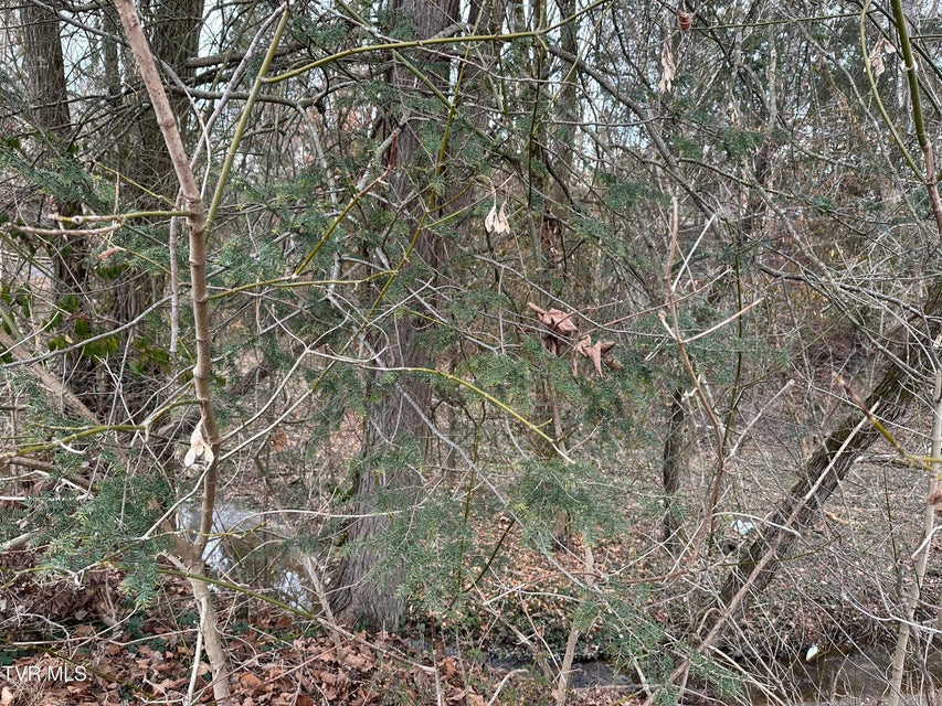 Photo #11: Tbd Lowrance Drive