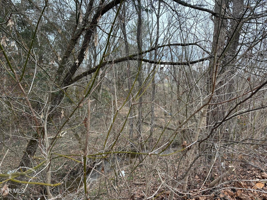 Photo #12: Tbd Lowrance Drive