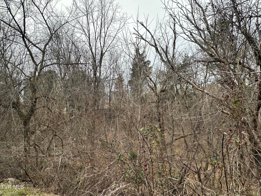 Photo #13: Tbd Lowrance Drive