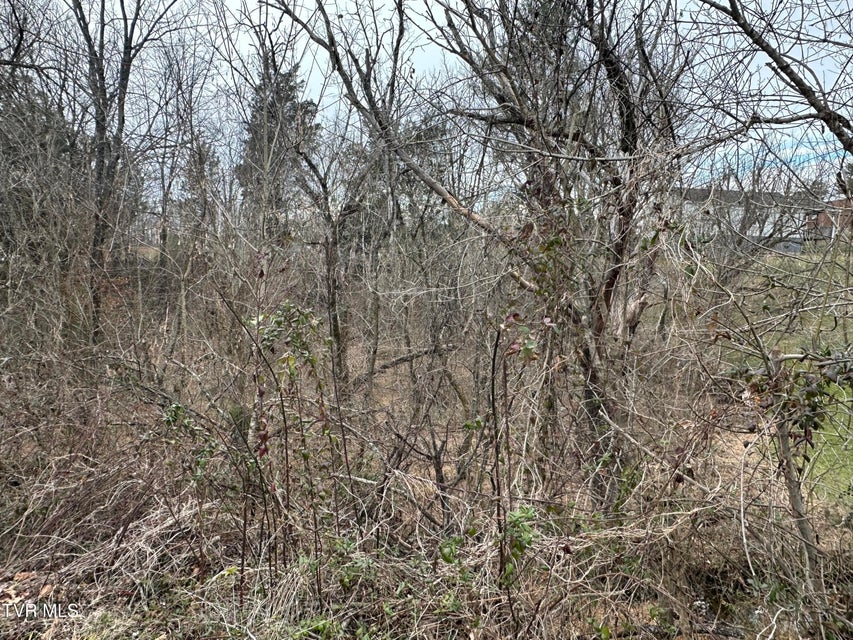 Photo #14: Tbd Lowrance Drive