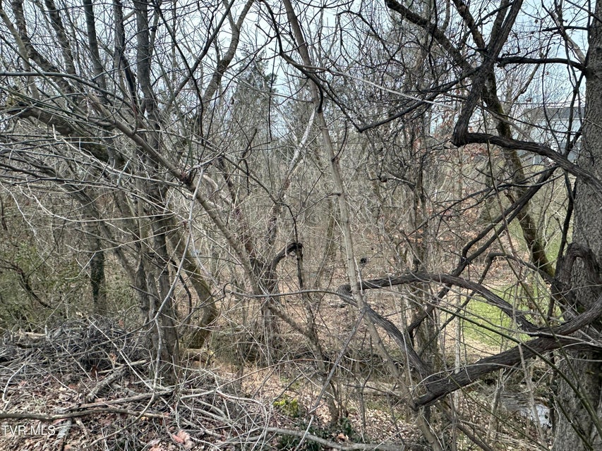 Photo #16: Tbd Lowrance Drive