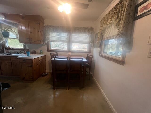 Photo #6: 8 Hemlock Street