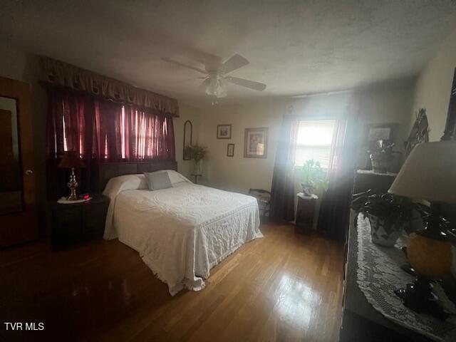 Photo #7: 8 Hemlock Street