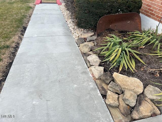 Photo #18: 8 Hemlock Street