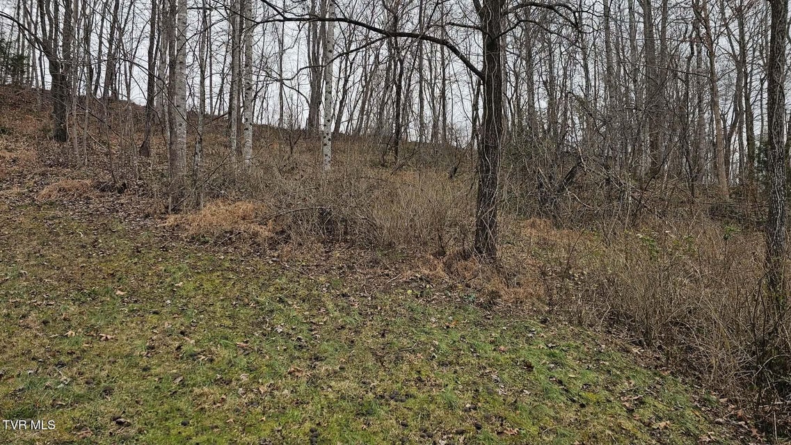 Photo #6: 598 Hortons Summit Road