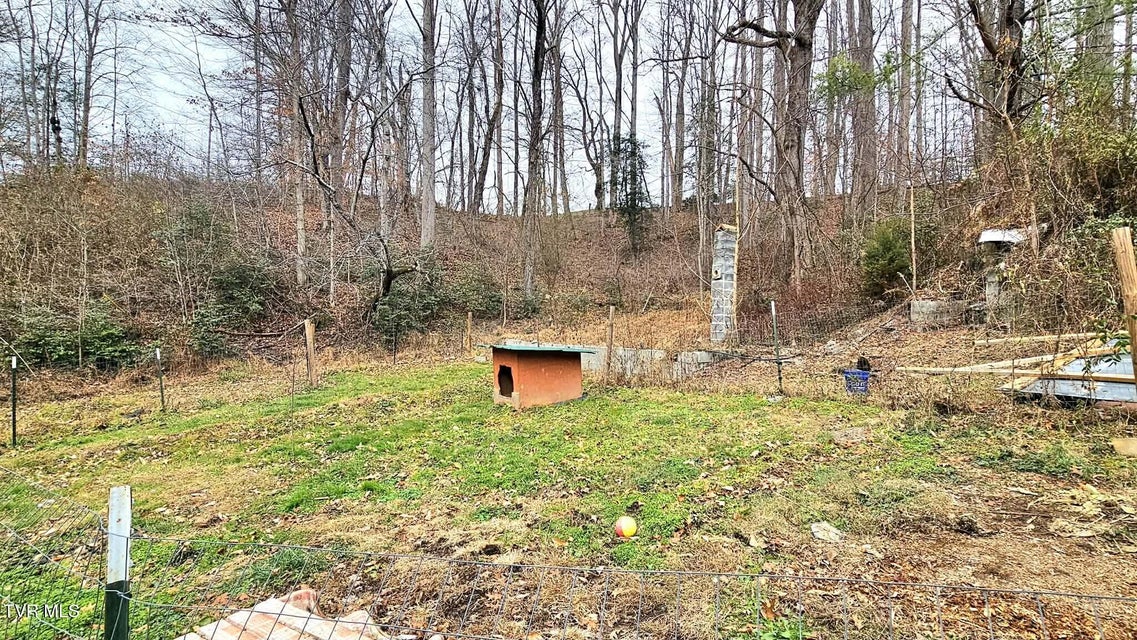 Photo #7: 598 Hortons Summit Road