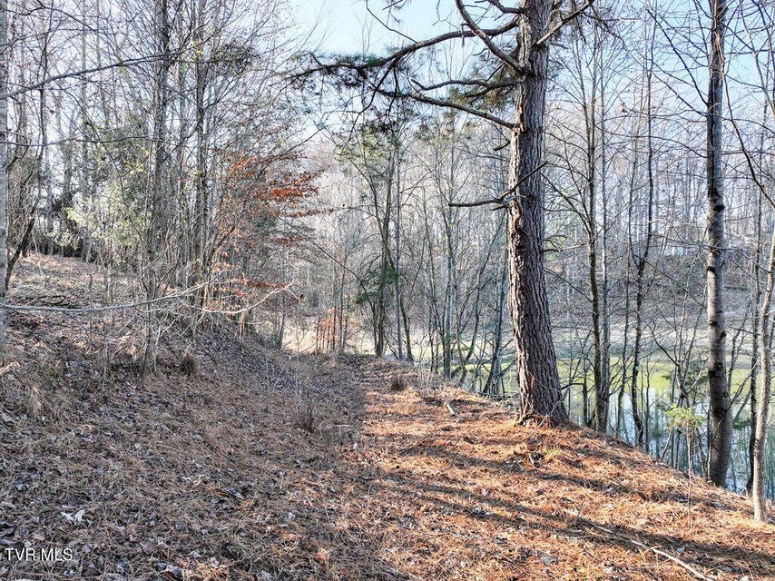 Photo #23: 148 Reynolds Avenue