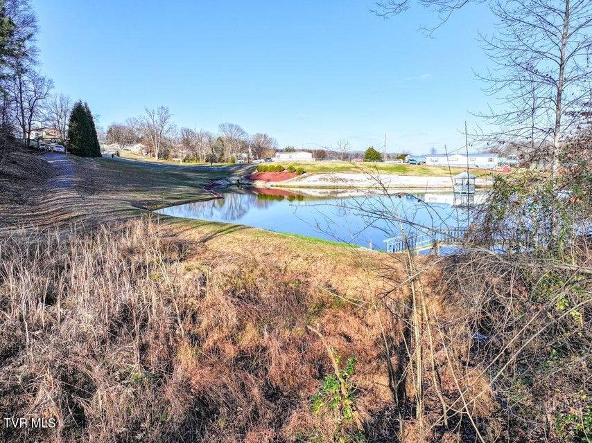 Photo #24: 148 Reynolds Avenue