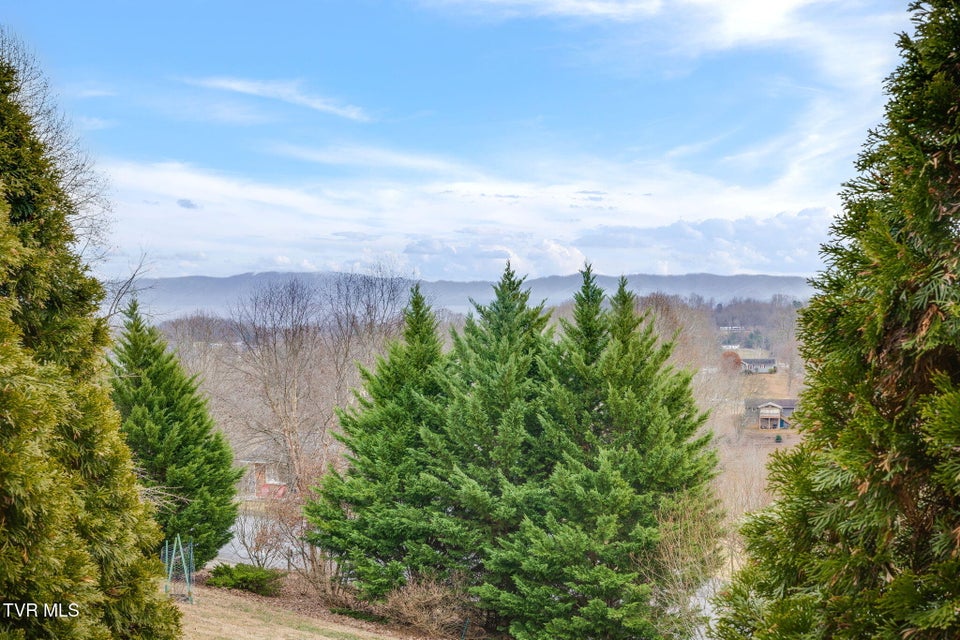 Photo #5: 355 Huckleberry Road