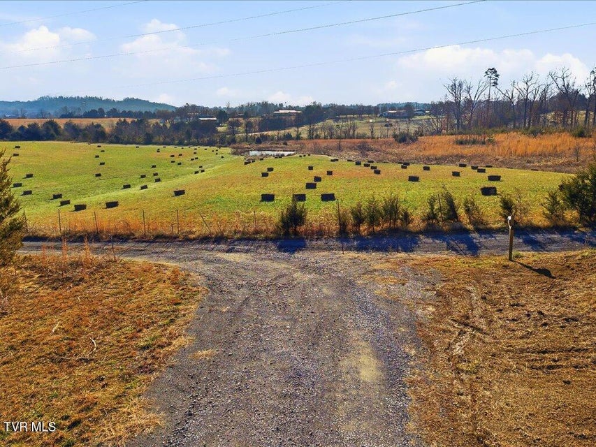 Photo #6: 0 Harris Town Road