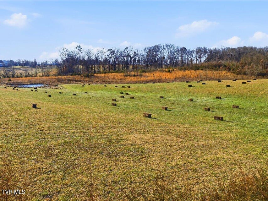 Photo #9: 0 Harris Town Road