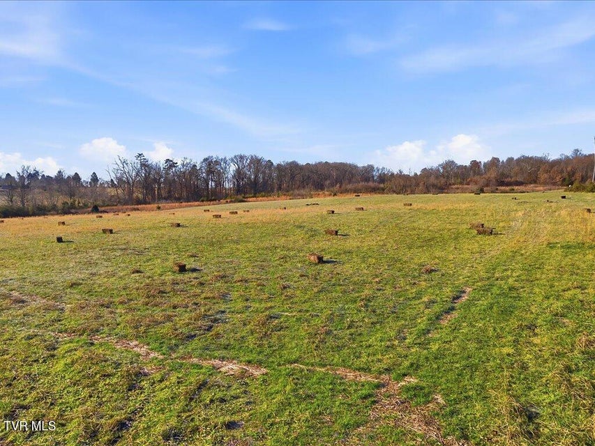 Photo #25: 0 Harris Town Road