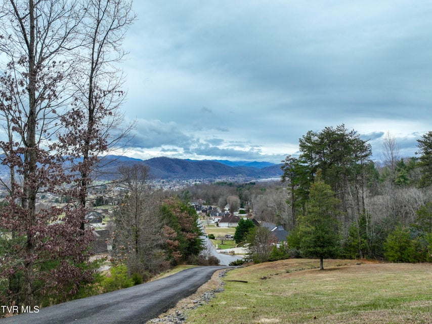 Photo #35: 128 Willshire Drive