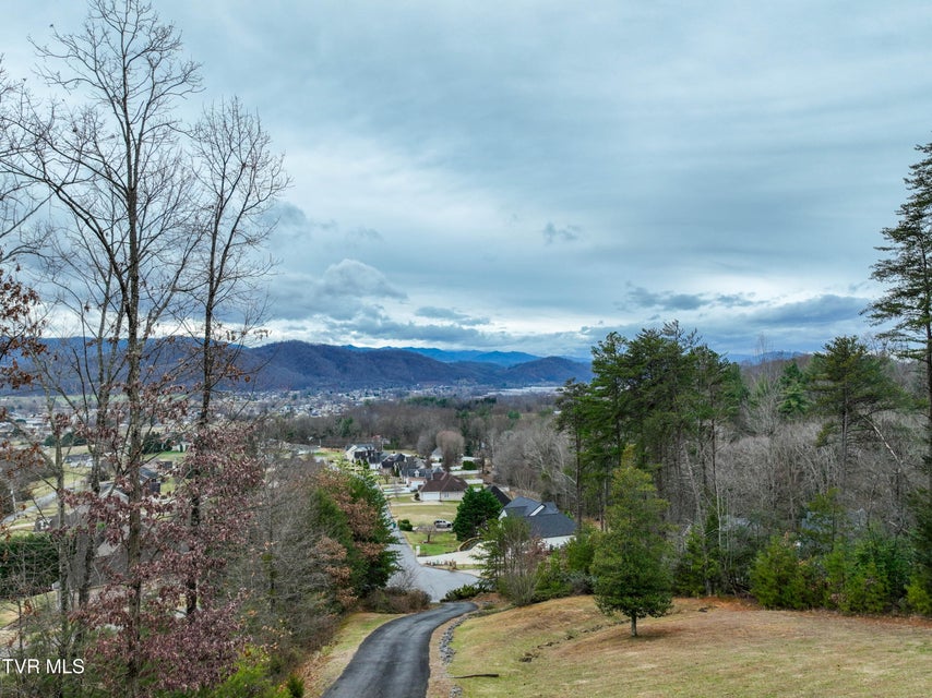 Photo #43: 128 Willshire Drive