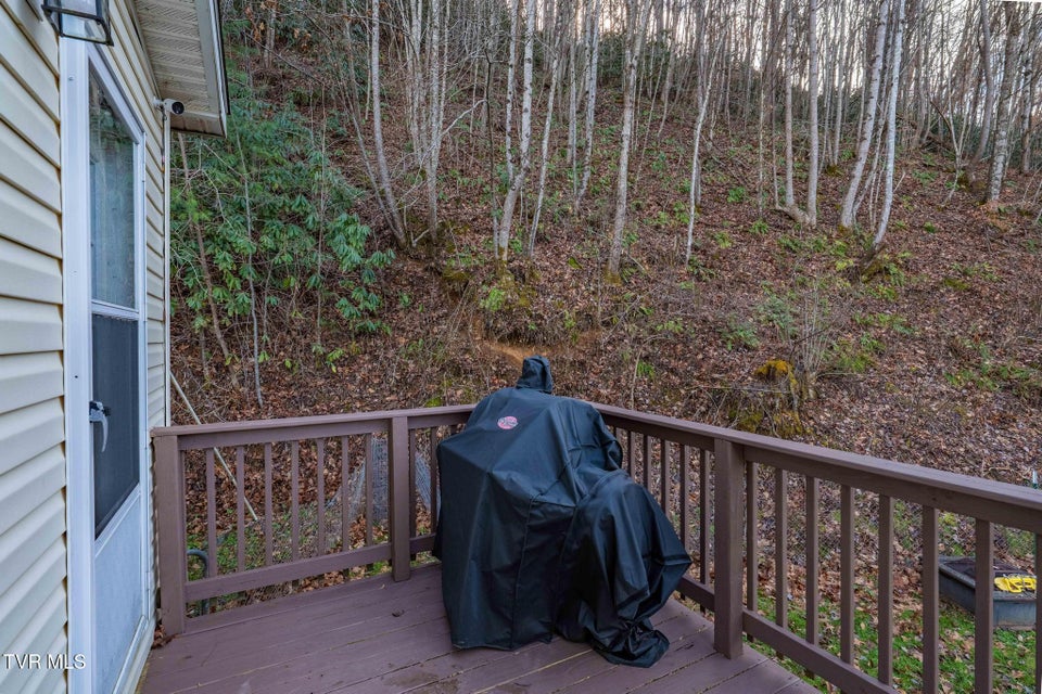 Photo #17: 542 Copley Branch Road