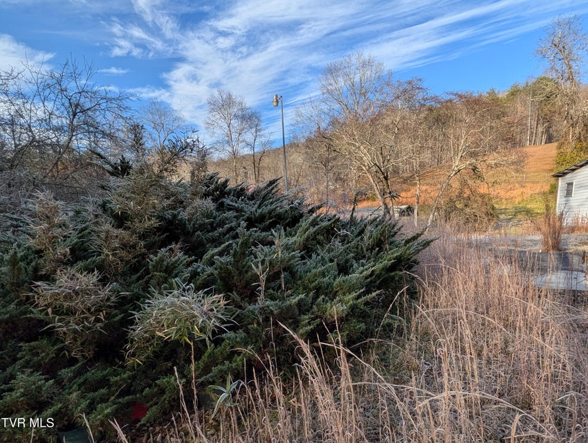 Photo #8: 9304 Hunters Valley West Road