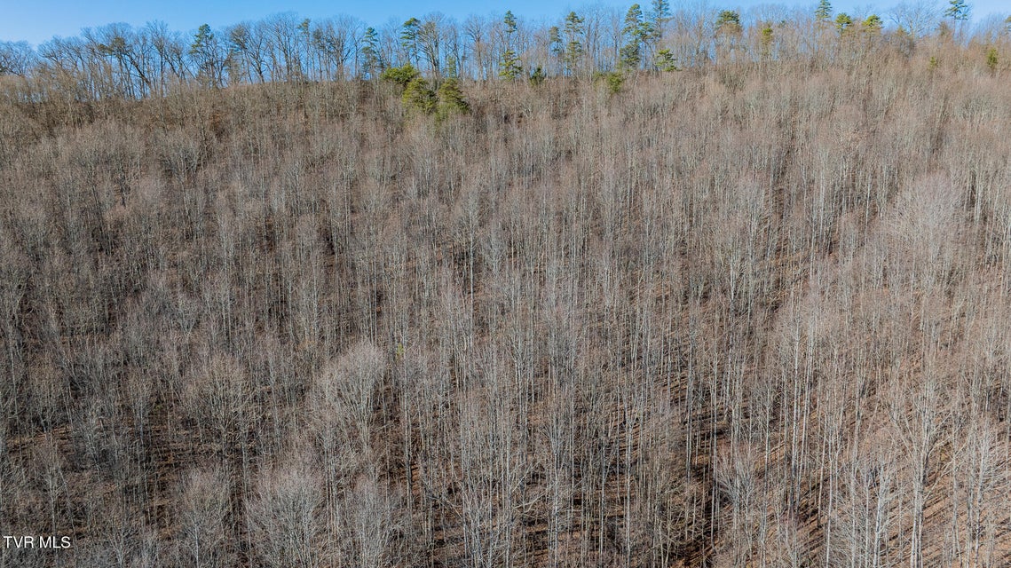 Photo #14: 3822 Goshen Valley Road