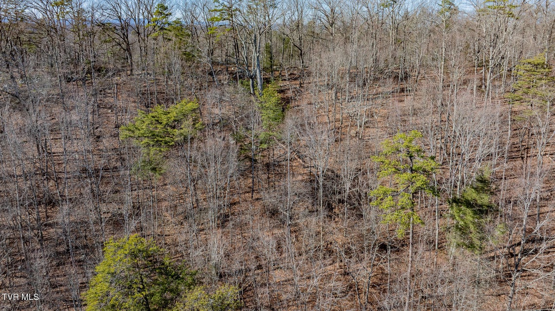 Photo #15: 3822 Goshen Valley Road