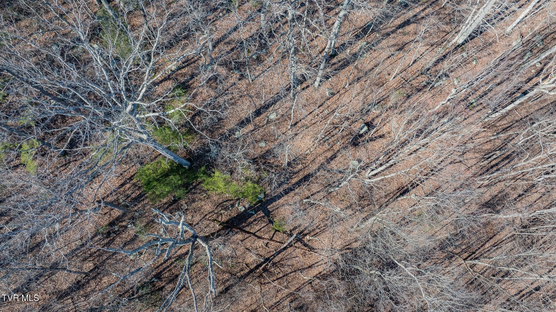 Photo #16: 3822 Goshen Valley Road