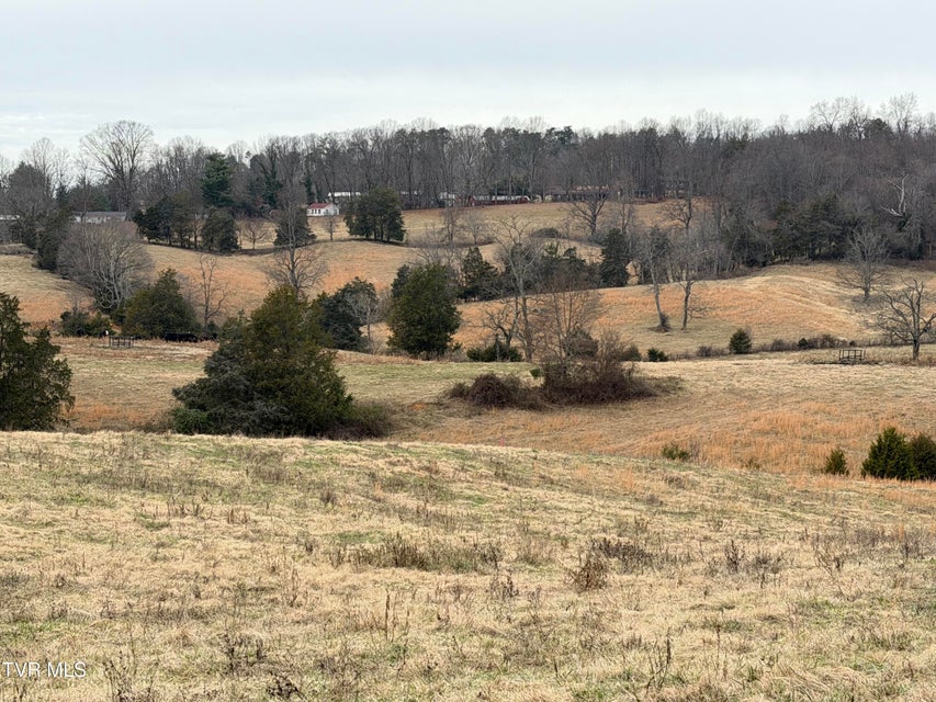 Photo #11: Tract 2 Rocky Hollow Road