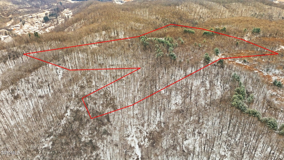 Photo #8: 7576 Wells Adams Road