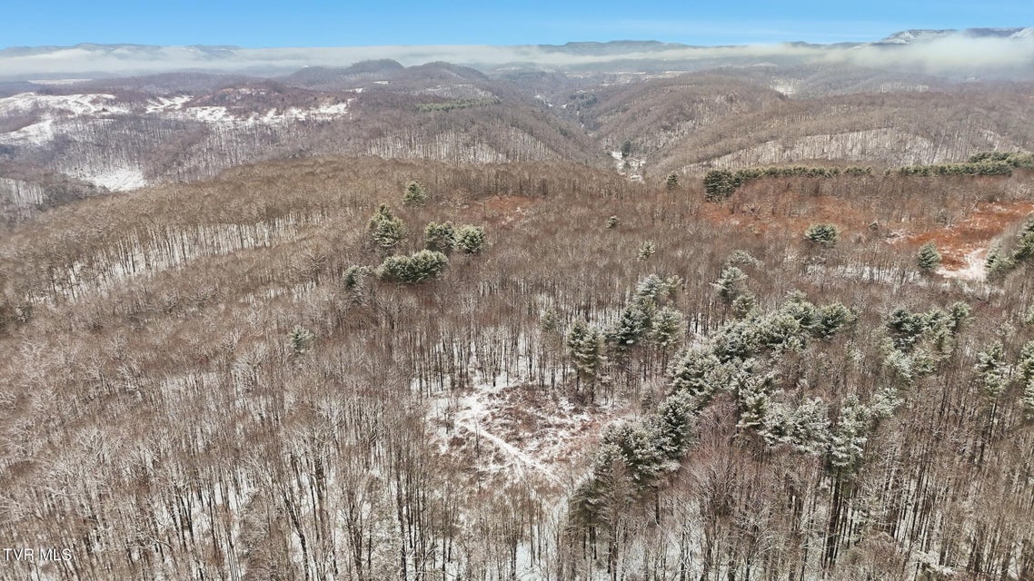 Photo #9: 7576 Wells Adams Road