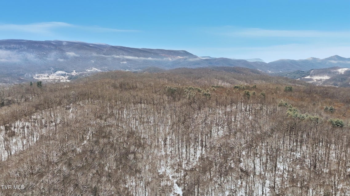 Photo #16: 7576 Wells Adams Road