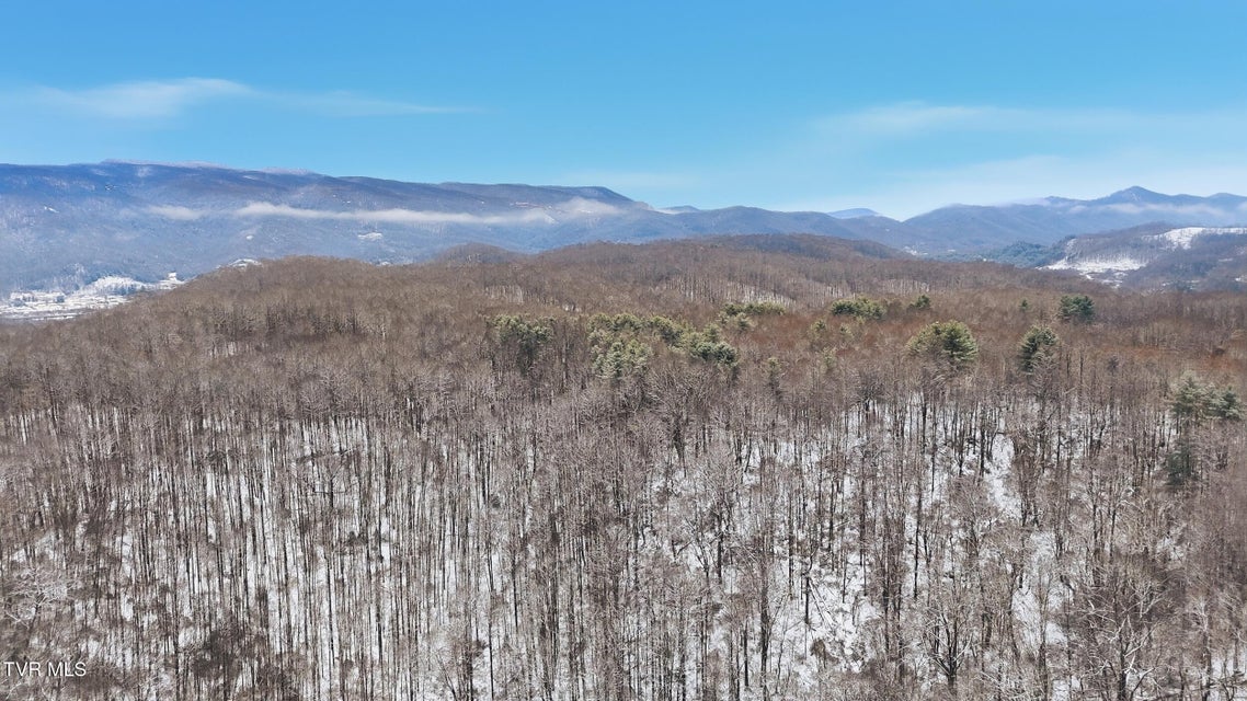 Photo #17: 7576 Wells Adams Road