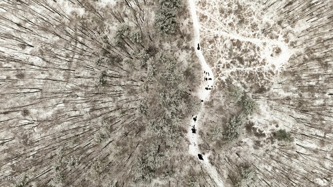 Photo #18: 7576 Wells Adams Road