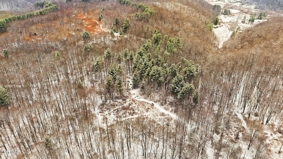 Photo #19: 7576 Wells Adams Road