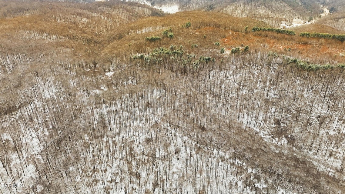 Photo #20: 7576 Wells Adams Road