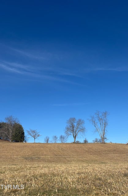 Photo #5: Tbd Mandalay Lane 