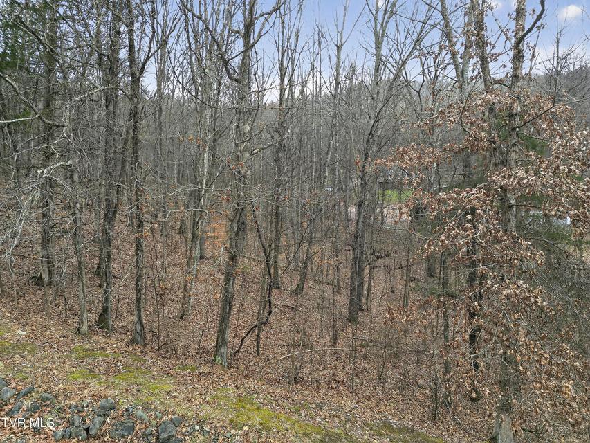 Photo #12: Tbd Loudon Drive