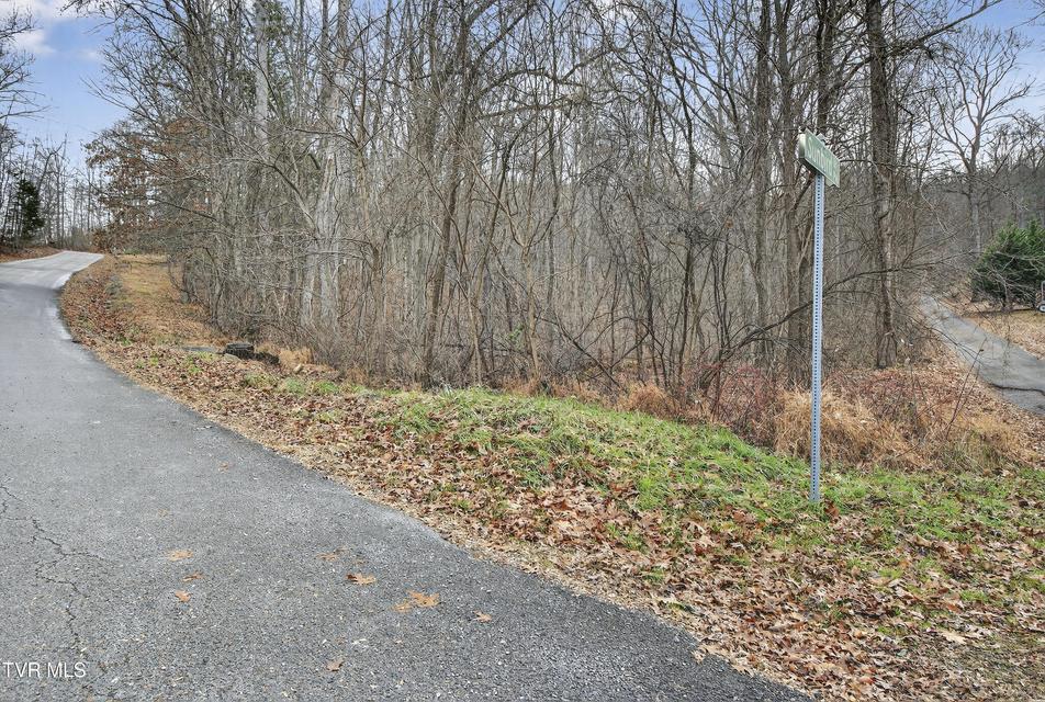 Photo #14: Tbd Loudon Drive