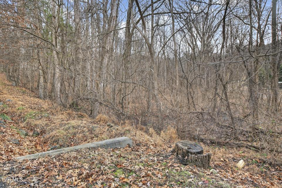 Photo #15: Tbd Loudon Drive