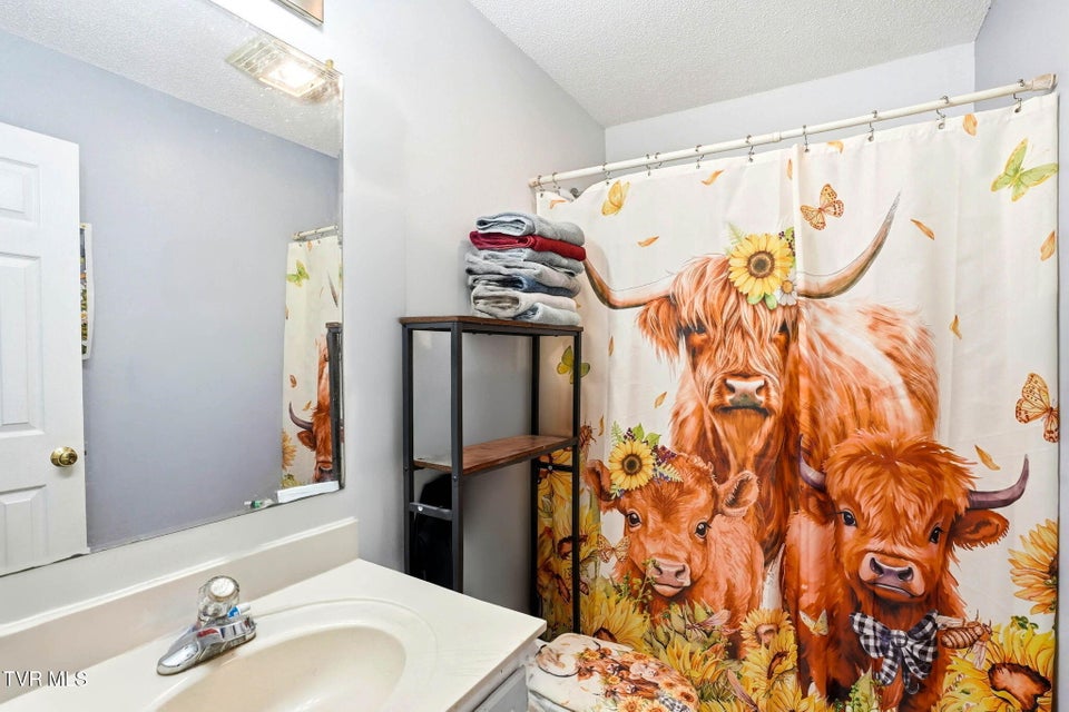 Photo #30: 8703 Highway 19e 