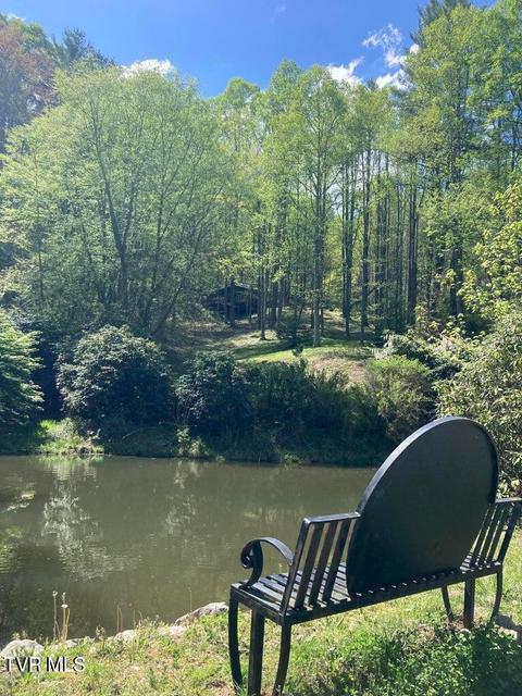 Photo #17: 702 Heartwood Lot 56 Lane